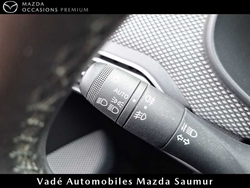 dacia - Visuel 18